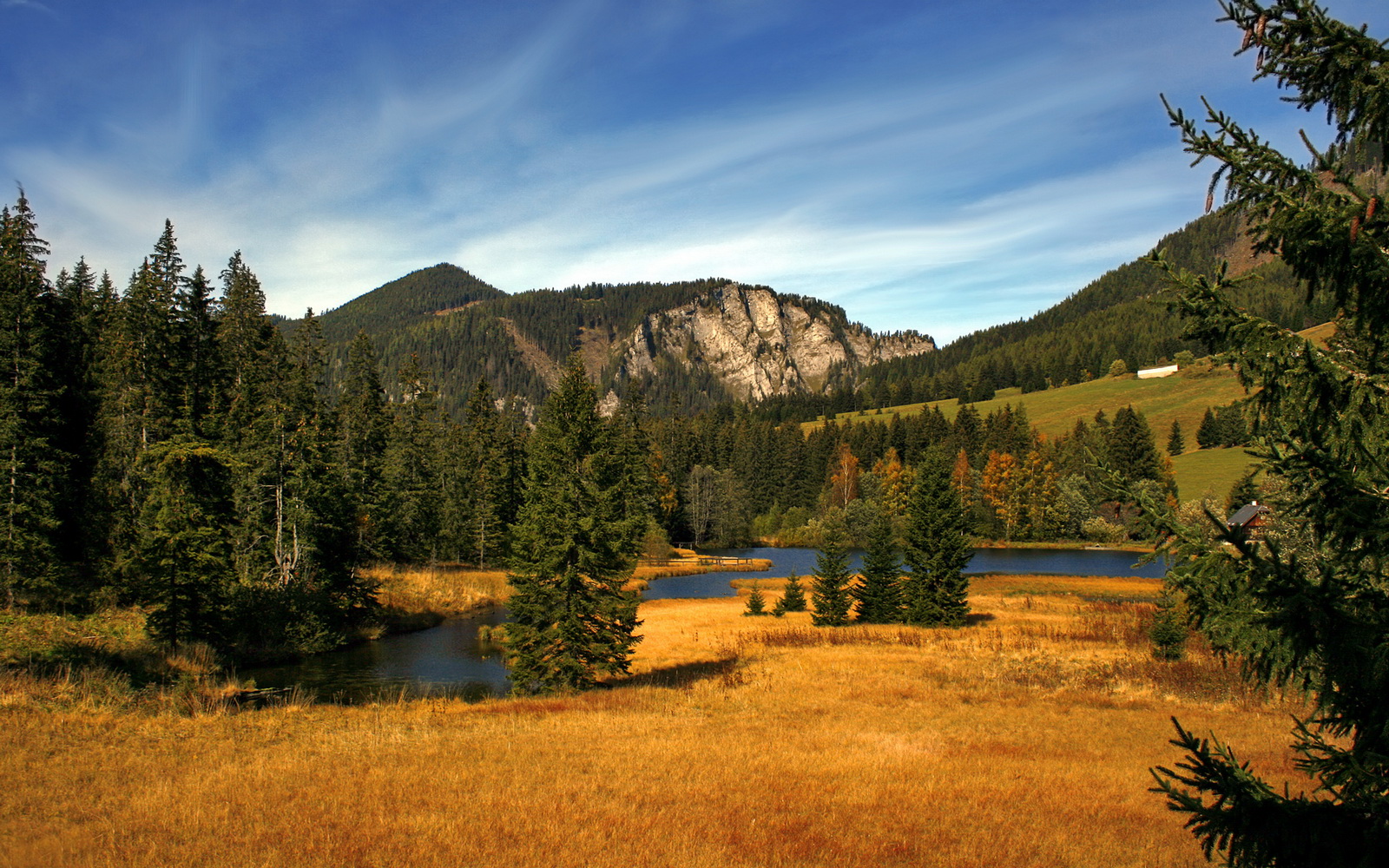 政策引导下青训投入持续增长，助推中国足球崛起，中国足球青训改革